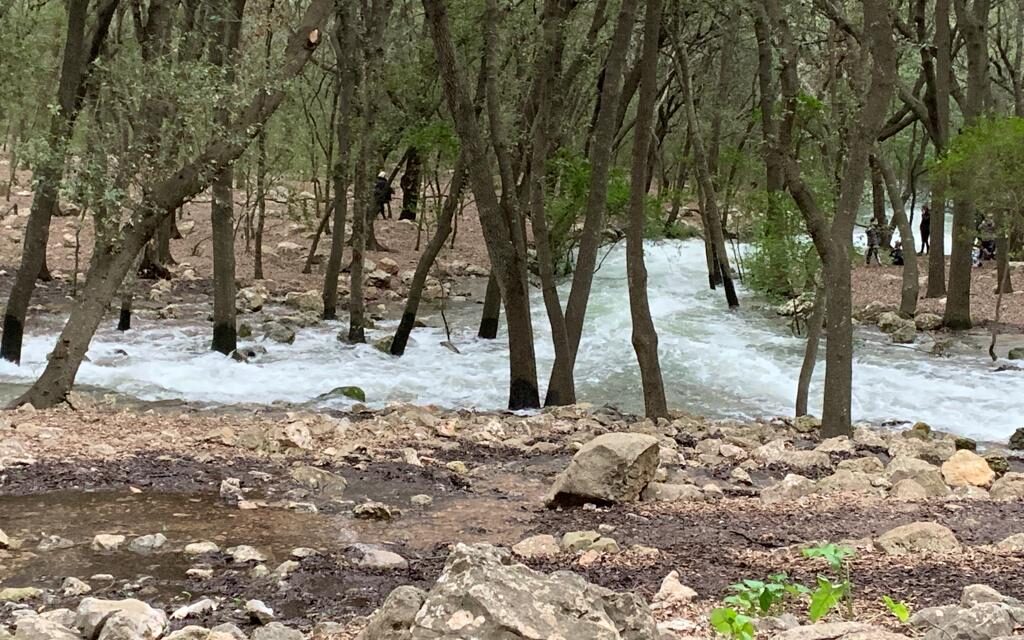 4 ESPAIS NATURALS PROTEGITS: 1. LES FONTS UFANES