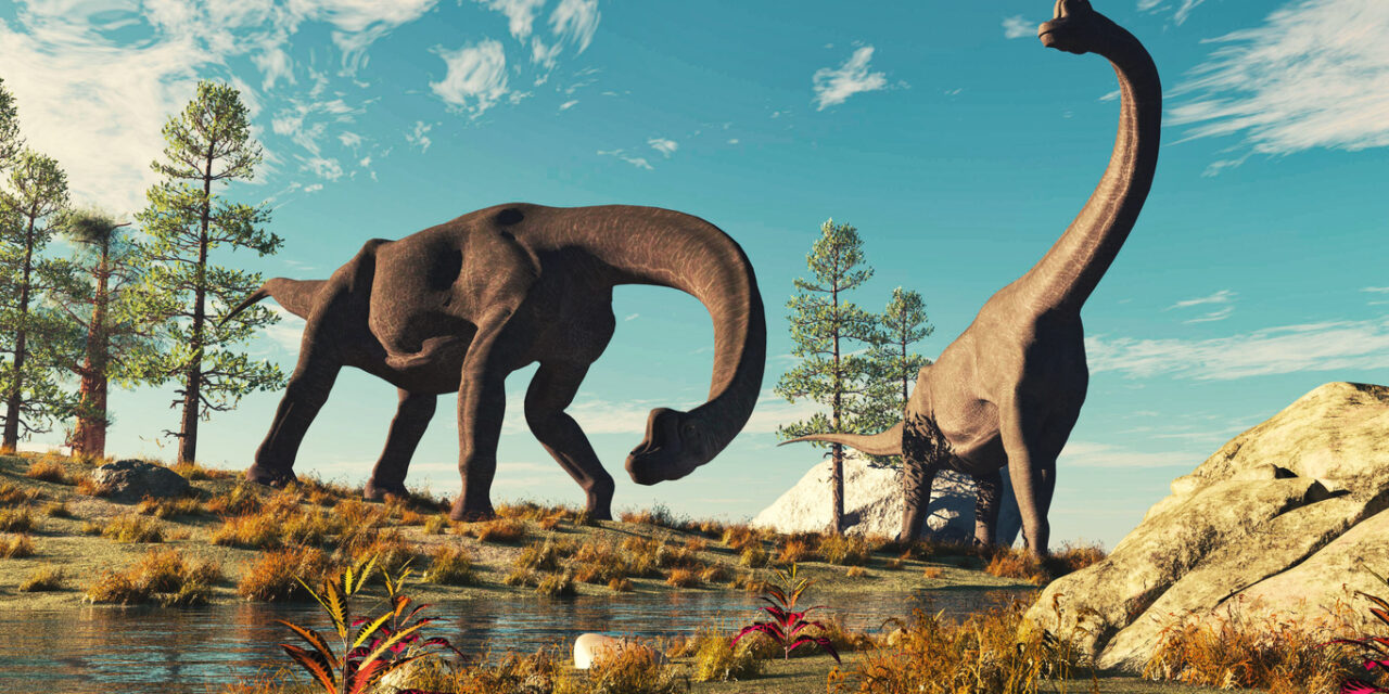 LA RUTA DELS DINOSAURES