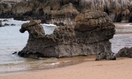 VISITAR… LA PLAYA DEL CAMELLO (SANTANDER)