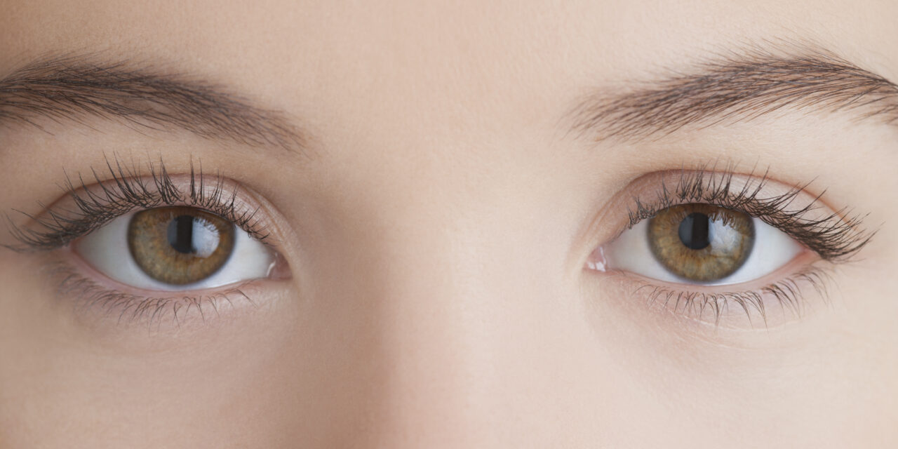 LA IMPORTÀNCIA D’UNA MIRADA