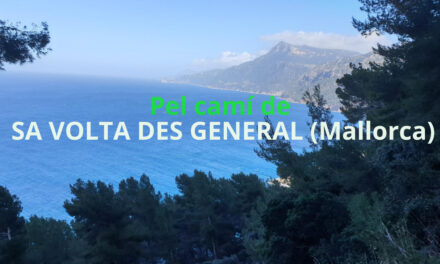 PEL CAMÍ DE SA VOLTA DES GENERAL, MALLORCA (1)