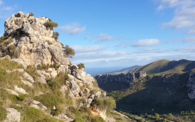 AMPLIACIÓ DEL PARC NATURAL DE LLEVANT EL PRIMER TRIMESTRE DE 2023