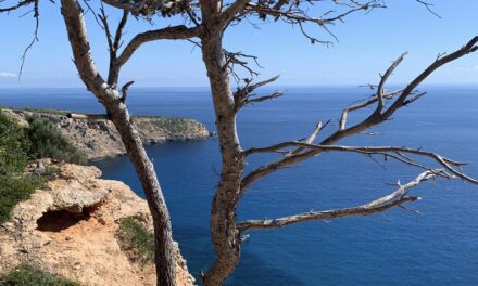 CALA FIGUERA- RAFAUBETX, CAP A LA SEVA PROTECCIÓ DEFINITIVA